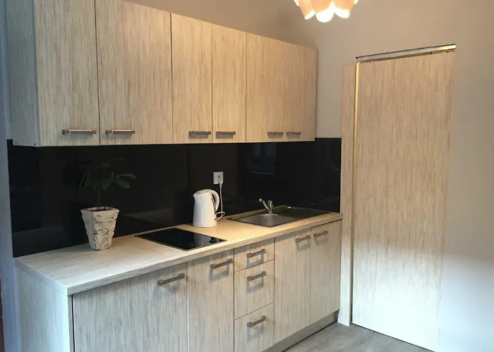 Apartament Kawalerka Fredry 3/12 Poznań